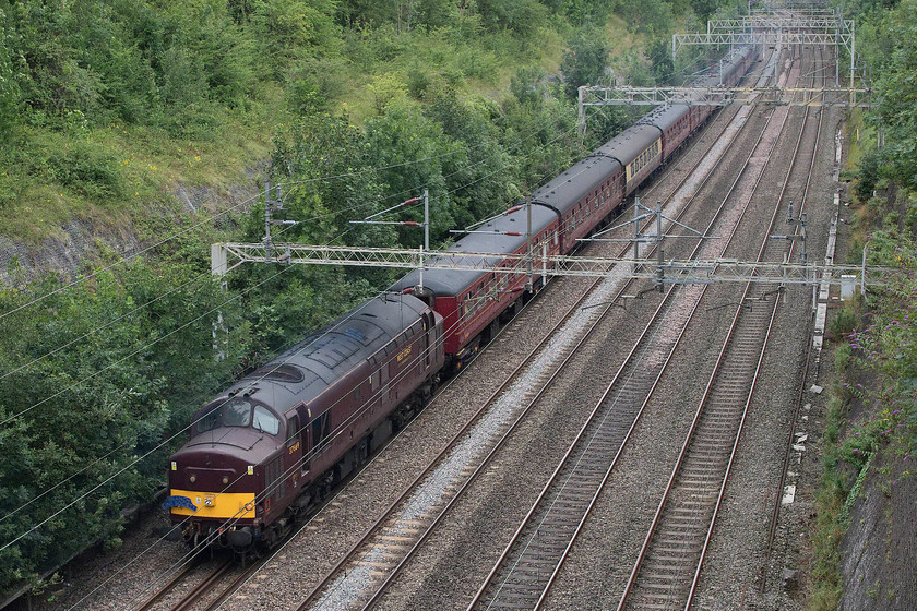 37669, outward leg of The Cosham Completer, 05.30 Crewe-Portsmouth Harbour (1Z74), Roade Cutting 
 37669 on the rear of the Cosham Completer railtour organised by The Railway Touring Company. The railtour featured no less than three class 37s with 37706 and 37518 leading the train seen, here, passing through Roade Cutting. Quite how I have managed to avoid this particular veteran Type 3 I am not sure, but according to my database, this is my only photograph of this locomotive either in this guise or as 37129. However, I did get a photograph of 37518 when it was numbered 37018 back in 1980 at Lincoln, see..... https://www.ontheupfast.com/p/21936chg/29682578004/x36-37-018-tanker-train-east-holmes 
 Keywords: 37669 The Cosham Completer 05.30 Crewe-Portsmouth Harbour 1Z74 Roade Cutting