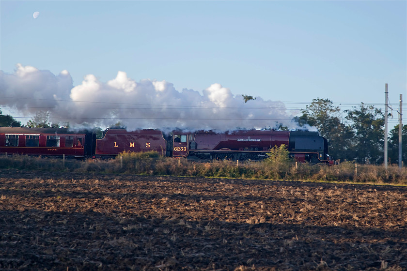 6233, outward leg of The Yorkshireman, 06.41 Ealing Broadway-York (1Z35), Wymington SP958633 
 This image of LMS Princess Coronation Class 6233 'Duchess of Sutherland' did not quite work as I had wanted for two reasons. Number one, by the time the outward leg of The Yorkshireman railtour reached me here at Wymington on the MML just south of Wellingborough, the sun had just gone around a little too far to properly illuminate the side of the train. Number two, the exhaust, that I had expected here on this chilly morning, drifted slightly towards me thus exacerbating the dark sides! Never mind, 6233 still looks good in full flow descending from Sharnbrook summit as it heads northwards to its destination at York. Notice the moon still high in the early morning sky to the top left hand corner of the image. 
 Keywords: 6233 The Yorkshireman, 06.41 Ealing Broadway-York (1Z35), Wymington SP958633