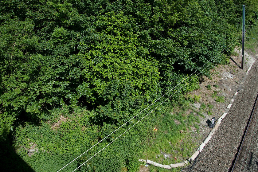 Site of Harpenden Junction 
 A strange photograph taken from Harpenden's Hollybush Lane overbridge reveals the site of Harpenden Junction. When I visited in 1979 I stood in a very similar spot and photographed the signalbox below with the stump of the former Nickey Line leading off to the left, see....https://www.ontheupfast.com/p/21936chg/26893057004/harpenden-junction-signal-box Just beyond the trees to the left is the start of the Nickey Line Walk that Andy, Mike and I were to walk the length ending up in Hemel Hempstead. 
 Keywords: Harpenden Junction