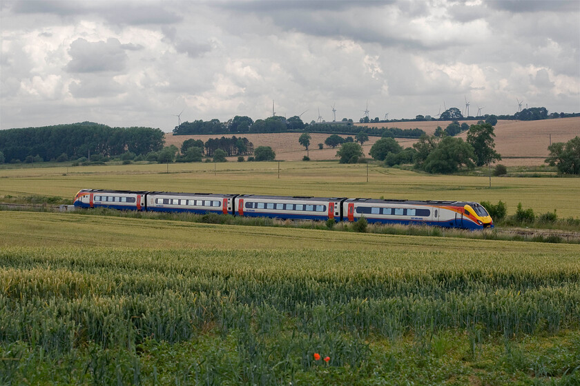 Class 222, EM 12.16 Corby-London St. Pancras (1P39), Harrowden Junction from The Slips 
 The 12.16 Corby to St. Pancras Meridian service passes Harrowden Junction between Kettering and Wellingborough. Notice the pair of lone poppies in the foreground that also shows where the contractors undertaking the replacement of The Slips bridge have cleared the edge of the field to allow access to the worksite. 
 Keywords: Class 222 12.16 Corby-London St. Pancras 1P39 Harrowden Junction from The Slips MML Midland Mainline East Midlands Railway