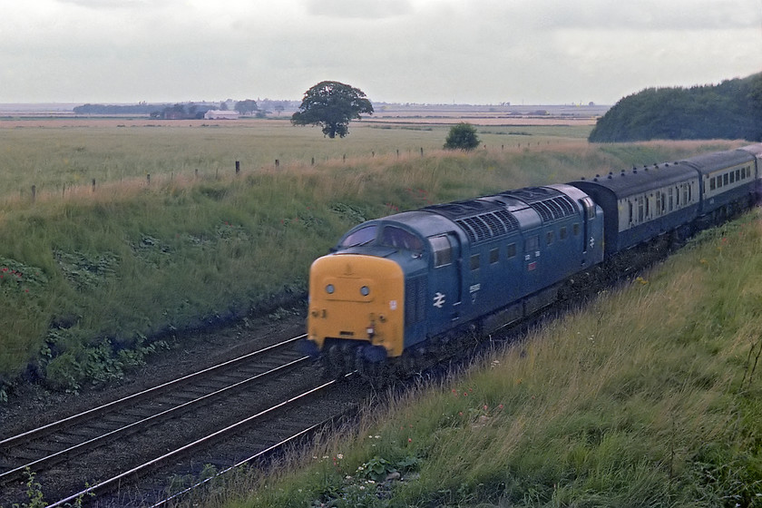 55003, 08.20 Newcastle-London King's Cross (1A11), Hougham SK894453 
 55003 'Meld' leads the 08.20 Newcastle to King's Cross past Hougham that is situated a short distance north of Barkston Junction. This spot was close to where Graham and I camped 'wild' for the night in a field near enough to the ECML to be woken by the sleepers as they passed! 
 Keywords: 55003 08.20 Newcastle-London Kings Cross 1A11 Hougham SK894453