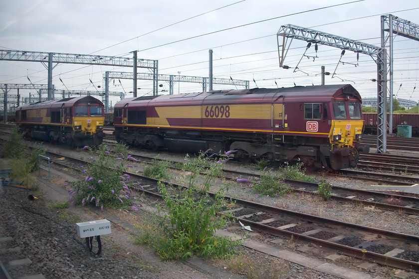 66143 & 66098, stabled, Wembley Yard 
 66143 and 66098 wait in Wembley Yard for their next duty. There are generally a good number of 66s when trains pass Wembley. Most passengers never raise their head from their devices to notice them....but why would they, there are only a few of us who get their cameras out and pan round to capture what's about! 
 Keywords: 66143 66098 Wembley Yard