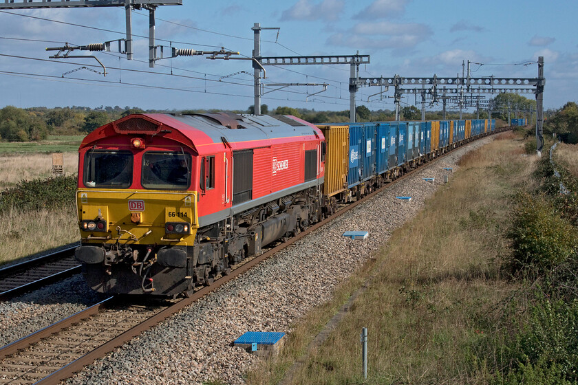 66114, 09.33 Northolt-Severnside (6C03, 39E), South Marston SU193869 
 66114 leads the 09.33 Northolt to Severnside binliner train past South Marston on the approach to Swindon. As per usual, the passing of this train was accompanied by the usual whiff of the contents composed of London's rubbish! The day is one of those brilliant autumn examples with clear blue skies and while there was a little chill there was also some warmth from the sun. 
 Keywords: 66114 09.33 Northolt-Severnside 6C03 South Marston SU193869 binliner