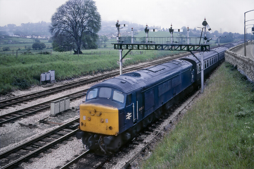 45013, unidentified Paignton working, Aller Junction 
 Unfortunately, try as I might I have been unable to identify what train 45013 was leading as it approached Aller Junction on this dull afternoon on the last day of May. The signal on Aller's fine gantry indicates that it was heading towards Paignton and the Mk. I stock would tend to indicate that it perhaps was coming from the northeast, can anybody help out with the service please? Formally D20, 45013 stayed in service until April 1987 carrying the unofficial name 'Wyvern' and some other embellishments applied by the enthusiastic staff at Tinsley towards the end of its life. 
 Keywords: 45013 unidentified Paignton working Aller Junction Peak