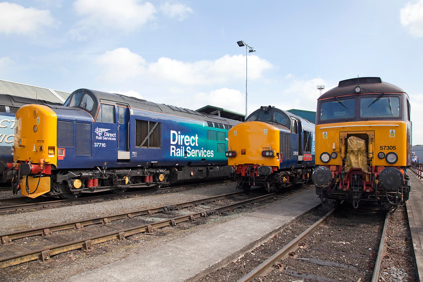 37716, 37610 & 57305, on-display, DRS Gresty Bridge 
 An impressive line up of fine DRS machinery at Crewe Gresty Bridge. 37716 is next to 37610 'TS (Ted) Cassady 14.5.61-6.4.08' with Northern Belle liveried 57305 'Northern Princess' on the right. I know it's an open day so an extra effort is made, but I have always found that DRS pay much attention to keeping their locos. looking spick and span. 
 Keywords: 37716 37610 57305 DRS Gresty Bridge