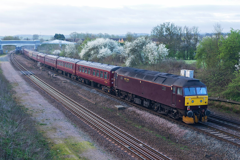 47760, outward leg of The Cathedrals Express, Kettering Bristol Temple Meads (1Z45), Sharnbrook Junction Tl002598 
 West Coast Railway's livery is not the finest on the network! It is drab and does not photograph well, this situation is exacerbated by the grey and early morning light as seen here. 47760 brings up the rear of The Cathedrals Express that started out at Kettering and finished at Bristol having been steam hauled from Southall. The train is seen on the up fast just passing Sharnbrook north of Bedford on the MML 
 Keywords: 47760 The Cathedrals Express 1Z45 Sharnbrook Junction Tl002598