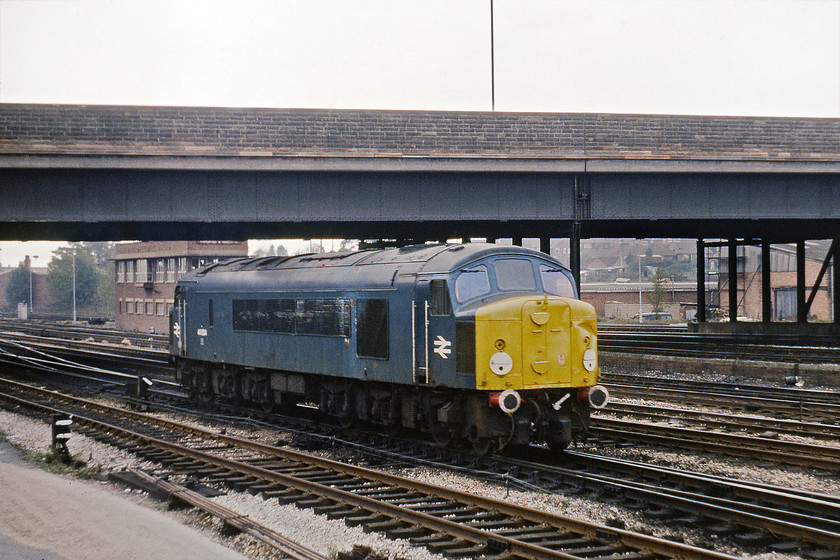 44004, going on shed, Toton Yard 
 Having deposited its train in Toton north yard, 44004 returns to go to the fuelling point. It awaits access into the depot under the A52 road bridge. Notice the impressive dent on its nose cone, I wonder what caused that? It has been reported that on 19.09.79 that 44004 was hauling the 08.55 Bescot to Toton freight when it derailed between Pleck Junction & Walsall, the locomotive and two wagons came off the rails so this dent could have been inflicted then, it was only two months previous to this picture being taken. 
 Keywords: 44004 going on shed Toton Yard