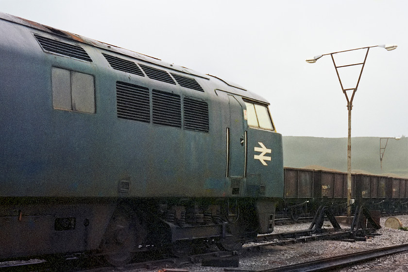 D1010, stored, Merehead Quarry 
 D1010 'Western Campaigner' is seen stored at the Merehead Torr Works quarry. Foster Yeoman bought the loco. from BR on its withdrawal a year earlier in 1977. The intention was to restore it and rename it 'Western Yeoman'. The DEPG took responsibility after a couple of years and completed a full restoration. Its Maybach music can be enjoyed today on the West Somerset railway. 
 Keywords: D1010 Merehead Quarry