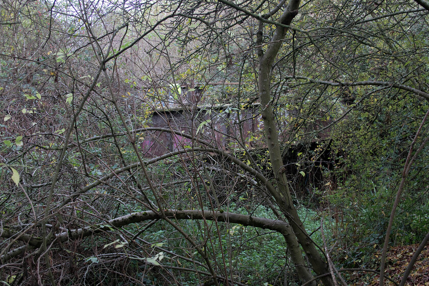 Former bridge, L&NW line to Wellingborough, Brackmills SP772592 
 The remains of a metal bridge, seen through the undergrowth on the edge of Northampton's Brackmills Industrial Estate, once carried the L&NWR track to Wellingborough along the Nene Valley. At this point, it was crossing Hardingstone Dyke, a drainage channel that then ran parallel with the route of the line for some distance. The bridge last carried passenger traffic in 1964 when most of the route between Northampton and Peterborough closed except for a few sections such as that which served Oundle for school traffic. 
 Keywords: Former bridge L&NW line to Wellingborough SP772592 Brackmills