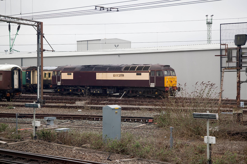 47790, stored, Crewe Diesel Depot 
 Devoid of its nameplates and looking a bit sorry for itself, 47790 sits at Crewe Diesel Depot. Originally introduced in 1965 as D1073, this locomotive became 47272 under TOPS. Then it carried various numbers until becoming 47790 and named 'Galloway Princess'. It is currently stored and out of use. 
 Keywords: 47790 Crewe Diesel Depot