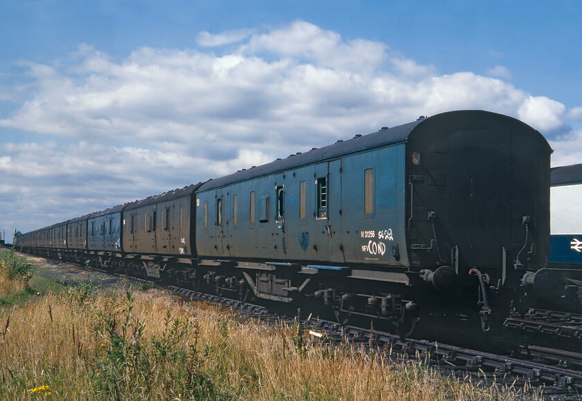 M31256, M31996, M31309, M31310, M31293 & M31208, stored, Whittlesey 
 A line of condemned LMS fifty-foot full brake parcel vans composed of (but not entirely) M31256, M31996, M31309, M31310, M31293 & M31208. The LMS vans were always instantly recognisable due to them having protruding look-outs or duckets. I am not at all sure as to where the condemned vans would go after their sojourn in Whittlesea yard to be cut up. I have a total of sixty-three LMS and Southern vans recorded in the yard on this day and would welcome any information on their build dates and lot numbers if anybody out there has access to this information if I provide the numbers. 
 Keywords: M31256 M31996, M31309 M31310 M31293 M31208 stored Whittlesey