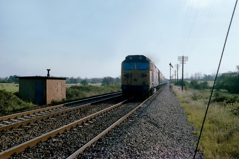 50049, 07.30 London Paddington-Penzance (1B24), Rudge ST835509 
 Taken into the sun and very head-on, 50049 Defiance leads the 1B24 07.30 Paddington to Penzance working. It is seen have passed Fairwood Junction at a farm crossing near the village of Rudge. I am not sure if the angle and position that I have taken it at was restricted by something or other but its certainly not a great shot by any stretch of the imagination! 
 Keywords: 50049 07.30 London Paddington-Penzance 1B24 Rudge ST835509