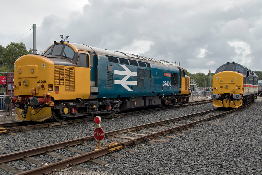 37409 & 37419, on-display, DRS open day, Kingmoor 
 37409 'Lord Hinton' and 37419 'Carl Haviland' stand outside the DRS shed at their Kingmoor facility. Compared with their open day last year at Gresty Bridge, this was a far more civilised affair with fewer people on a bigger site. This meant securing photographs with no crowds or people spoiling the shot was easy. 
 Keywords: 37409 37419 on-display DRS open day, Kingmoor