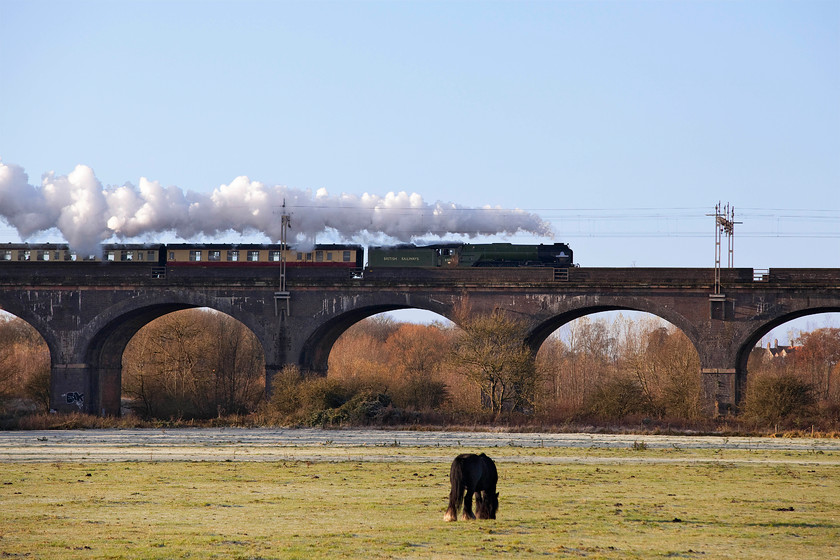 60163, outward leg of The Chester Christmas Cracker, 08.08 London Euston-Chester (1Z81), Haversham SP818425 
 The horse seems totally uninterested in the passage of 60163 'Tornado' over Haversham viaduct leading the The Christmas Cracker railtour from Euston to Chester. It was a perfect morning for the exhaust to condense into the dry and cold air but it's a shame that the frost has all but melted away from the field in the foreground. 
 Keywords: 60163 The Chester Christmas Cracker 08.08 London Euston-Chester 1Z81 Haversham SP818425