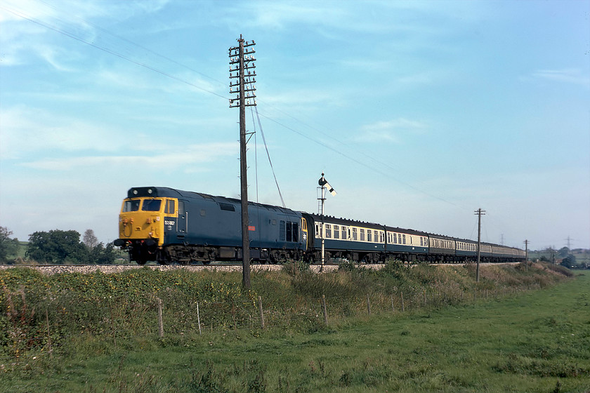 50007, 10.23 London Paddington-Paignton, Blatchbridge Junction 
 A view that is totally impossible now due to rampant tree growth and the construction of the A361 Frome by-pass that runs parallel to the line in the field to the right. 50017 'Royal Oak' passes Blatchbridge Junction's down-home signal leading the 10.23 Paddington to Paignton train composed of a long rake of Mk. I stock. I know that the telegraph pole has split the locomotive in half but as it's a long-vanished feature of the railways I forgive myself for the photographic faux pas! 
 Keywords: 50007 10.23 London Paddington-Paignton, Blatchbridge Junction