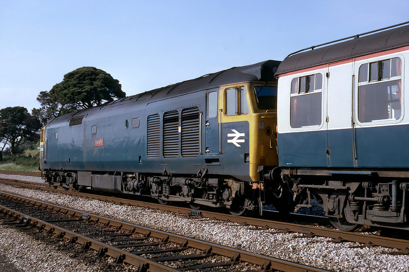 50014, Paignton-Newton Abbot ECS, Aller Junction 
 Photograph two of 50014 'Warspite' as it comes to a halt at Aller Junction leading a Paignton to Newton Abbot empty coaching stock working. The restaurant car marshalled behind the locomotive sitting on its Commonwealth bogies would not have been in use on the outbound service as it was isolated from the rest of the train by a GUV and a BG wagons! This view also shows off the vintage bullhead track yet to be replaced by welded panels something that would not happen for a few years yet until the semaphores were replaced by colour lights some years later. 
 Keywords: 50014 Paignton-Newton Abbot ECS Aller Junction Warspite