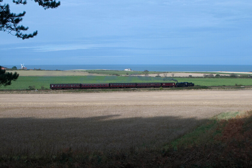 6. 76084, 11.15 Holt-Sheringham, Weybourne Wood (our bench!) TG128423