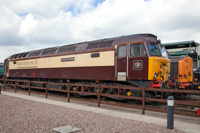 57312 & 37604, on-display, DRS Gresty Bridge 
 A broadside of 57312 'Solway Princess' resplendent in its Northern Belle livery. I have photographed this loco. a number of times hauling excursions around the network. Despite the lack of other people getting in the shot, the reflections of many can be seen in the glossy paintwork of the class 57. 
 Keywords: 57312 37604 DRS Gresty Bridge