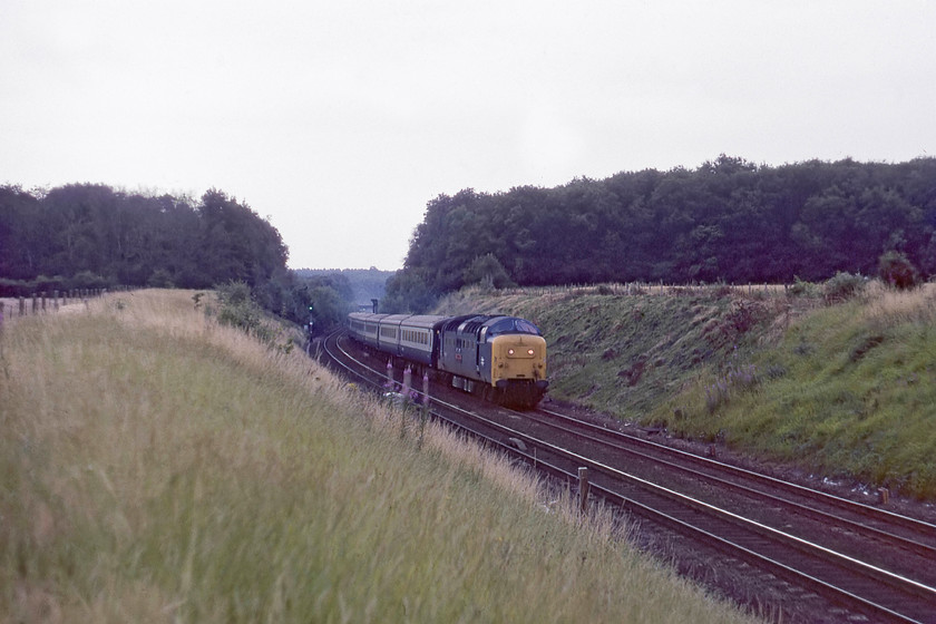 55006, 17.05 London King`s Cross-Hull, The Hull Executive (1D04), Barkston Junction SK912417 
 A train associated with the Deltics in their latter years of operation was the fabled Hull Executive. In pretty awful light, 55006 'The Fife and Forfar Yeomanry' leads the 17.05 King's Cross to Hull as it approaches Barkston Junction. I will have deliberately taken the photograph a little early to avoid motion blur as I suspect I was struggling for light on such a dull evening, witness the marker lights in the front of the Deltic shining brightly! 
 Keywords: 55006 17.05 London King`s Cross-Hull, The Hull Executive 1D04 Barkston Junction SK912417