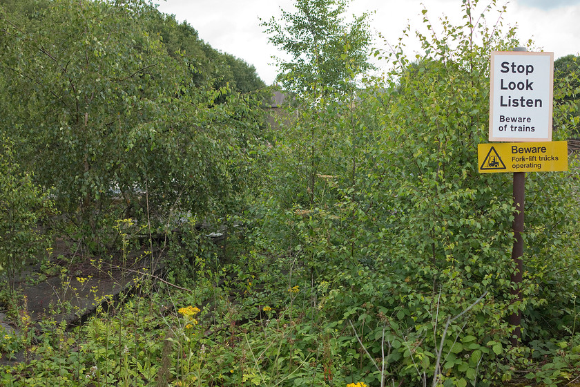 Site of former Buxton Diesel Depot (recently demolished) 
 The sign is forlornly warning people to take care but no trains or forklifts have passed this point for sometime. Trees have taken over the site of the former Buxton Diesel Depot. Through the greenery, a lone section of track can be seen. 
 Keywords: Site of former Buxton Diesel Depot