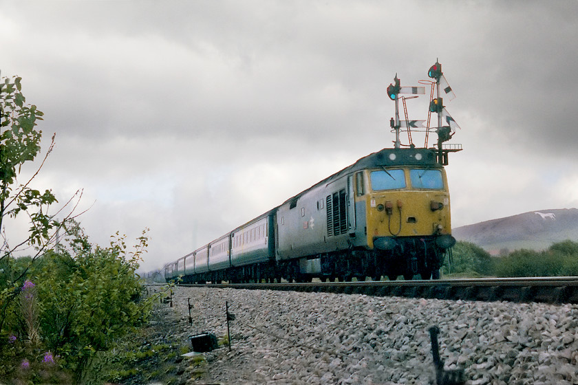 50020, 07.50 London Paddington-Paignton (1B28), Heywood Road Junction 
 50020 'Revenge' is pegged for a stop at Westbury station. This bracket signal was controlled by Westbury North signal box some distance away with the two lower arms for the rarely used and sharply curved chord to Hawkeridge Junction for access to the Avon Valley route to Bath. The 50 is heading the 1B28 07.50 Paddington to Penzance. Notice that this particular example has not had the BR double arrow logo moved from the body to the cabside as was usual practice on naming. 
 Keywords: 50020 07.50 London Paddington-Paignton 1B28 Heywood Road Junction