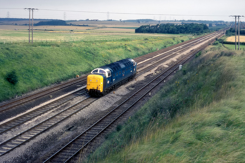 55007, up LE, Essendine TF043129 
 We saw 55007 'Pinza' working the down Hull Executive the previous evening, see....https://www.ontheupfast.com/p/21936chg/29672776804/x55007-17-05-london-king-s-cross just south of Grantham. For some reason, BR did not diagram the Deltic that worked the down service to work the following morning's up Executive often preferring a Class 47 and to run the Class 55 back to London light engine. Pinza passes Essendine on the up fast no doubt heading for Finsbury Park. However, this it at odds with the website The Chronicles of Napier that has it already in London and preparing to lead the 08.31 Peterborough to King's Cross 'fast'. 
 Keywords: 55007 up Light engine Essendine TF043129 Deltic Pinza