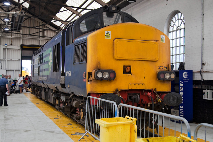 37259, on-display, DRS Open Day, Gresty Bridge 
 37259 looks well-used as it sits inside the maintenance shed at Gresty Bridge. Released as D6959 from the Vulcan factory at Newton-Le-Willows in January 1965 it has done sterling service over the years. DRS retains a number of class 37s for use all over the network as they can go to various places that other locomotives cannot due to their low axle loadings giving them a route availability of 5. 
 Keywords: 37259 DRS Open Day Gresty Bridge