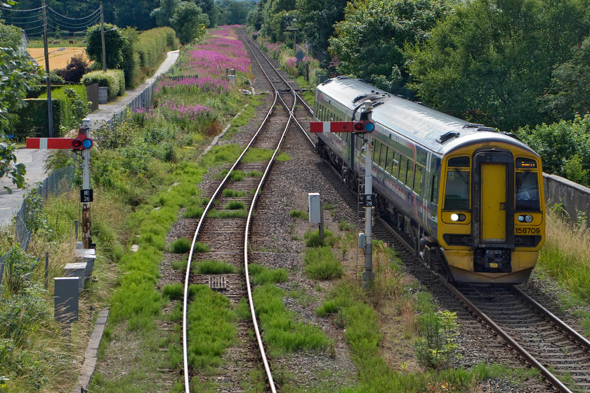 158709, SR 12.00 Aberdeen-Inverness (1H31), Inverurie Souterford Road bridge 
 Taken from Souterford Road bridge, 158709 arrives at Inverurie with the 12.00 Aberdeen to Inverness service. The train is just coming off the single track section that extends all the way from Dyce on the outskirts of Aberdeen. In the next few years, this situation is going to change as it is proposed to re-double this section of line eradicating a bottleneck that can have a serious effect on services. I hope that when this is undertaken that some serious clearance takes place to clean up the trackbed as that in the foreground is extremely overgrown. 
 Keywords: 158709 12.00 Aberdeen-Inverness 1H31 Inverurie Souterford Road bridge ScotRail Sprinter