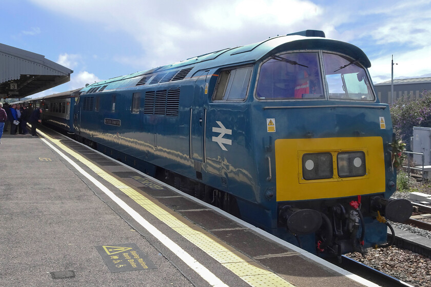 D1015, return leg of the Westbury Wizzo, 15.15 Cranmore-East Midlands Parkway (16.41 Westbury-Bedford) (1Z79, 12L), Westbury station 
 D1015 'Western Champion' idles at Westbury station waiting to lead the Westbury Wizzo charter back towards London and then north to the East Midlands. As usual, I was part of a huge arc of enthusiasts eager to take their photographs of this fine locomotive before it departs. Unfortunately, this image is taken into the afternoon sun so is not of the highest quality. 
 Keywords: D1015 Westbury Wizzo 15.15 Cranmore-East Midlands Parkway 1Z79 Westbury station Western Champion