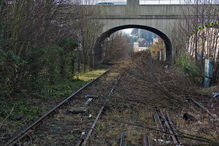 Clearance, Folkestone Harbour branch TR233364 
 Looking down the Folkestone Harbour branch from this angle emphasises the gradient made even clearer now that that the vegetation is in the process of being cleared. Unfortunately, this activity is not heralding reopening but to enable the removal of the railway infrastructure following its closure. This picture is taken from the foot crossing half way up the branch with the concrete viaduct that carries Bridge Road over the line in view. 
 Keywords: Clearance Folkestone Harbour branch TR233364