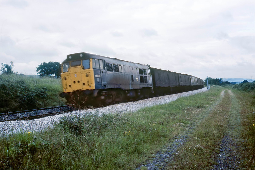 31279, 06.35 Plymouth-Old Oak Common empty vans (5A06), Burlescombe ST071168 
 The daily 5A06 06.35 Plymouth to Old Oak Common empty newspaper vans climbs Whiteball bank with 31279 doing all the work. The train is seen approaching Burlescombe and is taken from the spot, behind a gate, off railway property I hasten to add, where we had just camped for the night! This particular train ran back to London following its down working throughout the night dropping vast numbers of Fleet Street's finest at various locations. This was back in the days when many more people used to buy a daily newspaper and when they were produced centrally rather than electronically with the printing devolved to the regions as is the case today. 
 Keywords: 31279 06.35 Plymouth-Old Oak Common empty vans 5A06 Burlescombe ST071168