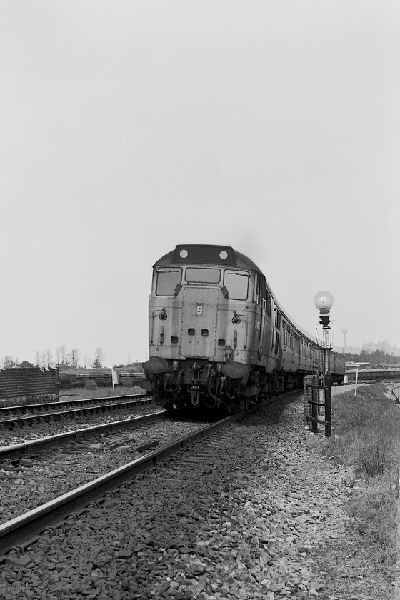 31422, 12.05 Cardiff central-Portsmouth Harbour (1O79), Dilton-Marsh ST856511 
 A striking picture of 31422 as it gets a good run at Upton Scudamore bank south of Westbury, a three mile drag at an average of 1:70, as it leads the 12.05 Cardiff Central to Portsmouth Harbour working. There is a footpath parallel to the line at this location and I would have needed to have climbed the fence and a bit of the embankment to get the shot. So, yes, I was probably trespassing to get the picture and will have caused alarm to the driver, something that would never be done today, but it was a different time then! Notice that the train is passing a banner repeater signal for a poorly sighted signal further around the long curve on the ascent of the bank behind me. Looking at Google Earth today, there is still a signal at this spot, as to whether it's a banner I am unsure. 
 Keywords: 31422 12.05 Cardiff Central-Portsmouth Harbour 1O79 Dilton-Marsh ST856511