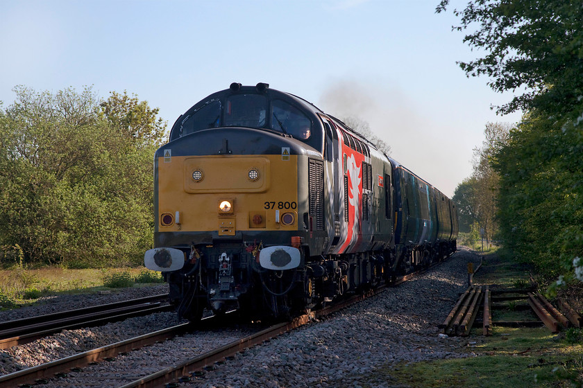 37800 & 375307, 04.42 Chaddesdon Curve-Ramsgate EMUD (5Q58), Millbrook station 
 A picture that I planned but did not get quite right! All would have been fine if the trees, that I knew were to the right, had not grown so tall! However, a passable shot has been taken because of the strong springtime ambient light. Europhoenix owned 37800 'Cassiopeia' passes Millbrook (Bedfordshire) exactly on-time towing Southeastern's 375307. This was the regular 5Q58 04.42 Chaddesdon (Derby) to Ramsgate EMUD working. The Electrostar was returning to the Southern following refurbishment at Derby. 
 Keywords: 37800 375307 5Q58 Millbrook station