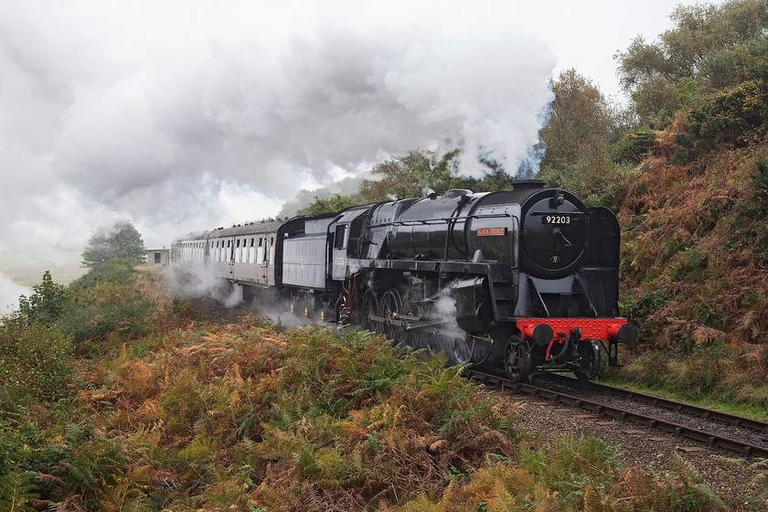 92203, 10.30 Sheringham-Holt, Kelling bank 
 92203 'Black Prince' climbs Kelling bank with the 0.20 Sheringham to Holt service. The 9F makes easy work of a short passenger service up a modest bank such as the one at Kelling compared to the heavy iron ore trains it worked when in use on British Railways. The 9F represents the design zenith of the steam locomotive but all this came too late as, by the time of its introduction in 1959, steam was already on the way out. Indeed, 92203 (un-named) only saw eight years in service on British Railways! 
 Keywords: 92203 10.30 Sheringham-Holt Kelling bank