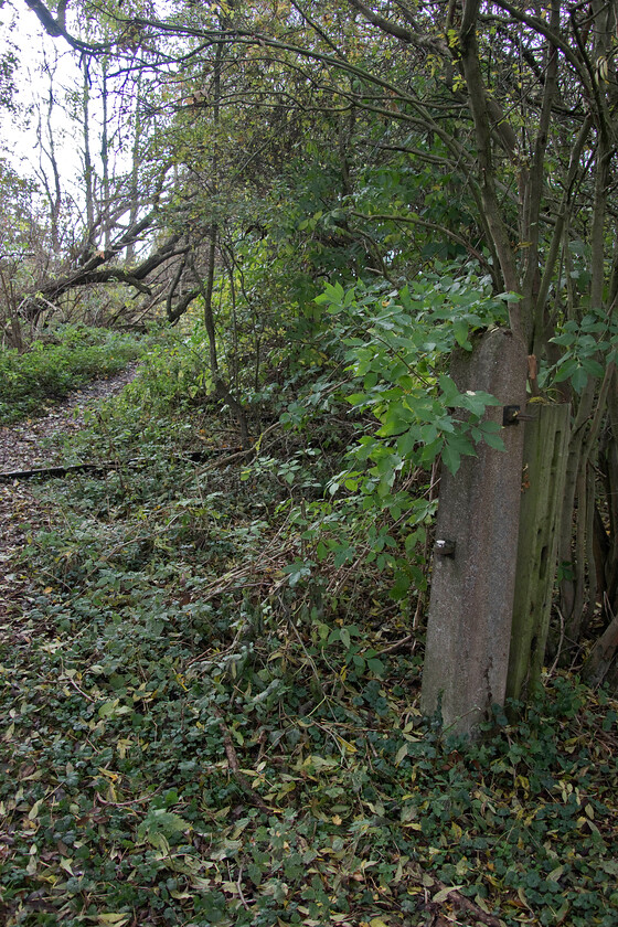 Former occupation crossing, L&NW line to Wellingborough, Delepre Lake SP768592 
 The remains of a former occupation crossing on the L&NWR route between Northampton and Wellingborough is still partially extant near to Delapre Lake. The concrete post, now at rather a jaunty angle, once would have supported a gate with one of the double tracks still visible through the undergrowth. A short distance behind me across the field was an embankment and an overbridge that once carried the Midland line route to Bedford. 
 Keywords: Former occupation crossing L&NW line to Wellingborough Delepre Lake SP768592