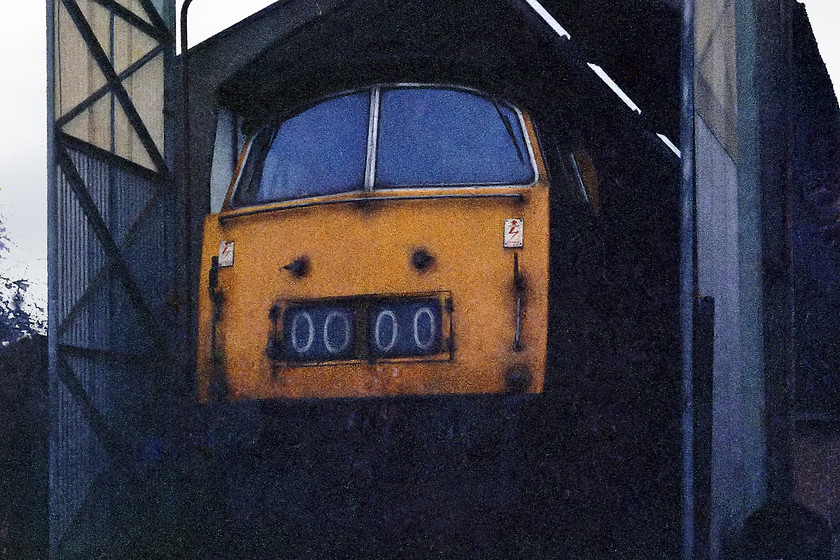 D1013, stabled, Westbury MPD 
 D1013 'Western Ranger' pokes its nose out of Westbury's diminutive one-road maintenance shed. This Western was one of the last to be withdrawn following railtour duties on 27.02.77. I think that along with the withdrawal of the Deltics in 1982 the finishing of the Westerns must rank as one of the most significant moments of the diesel era. At the time of writing, it's quite possible that the HSTs will be up there too; thoughts anybody? 
 Keywords: D1013 Westbury MPD