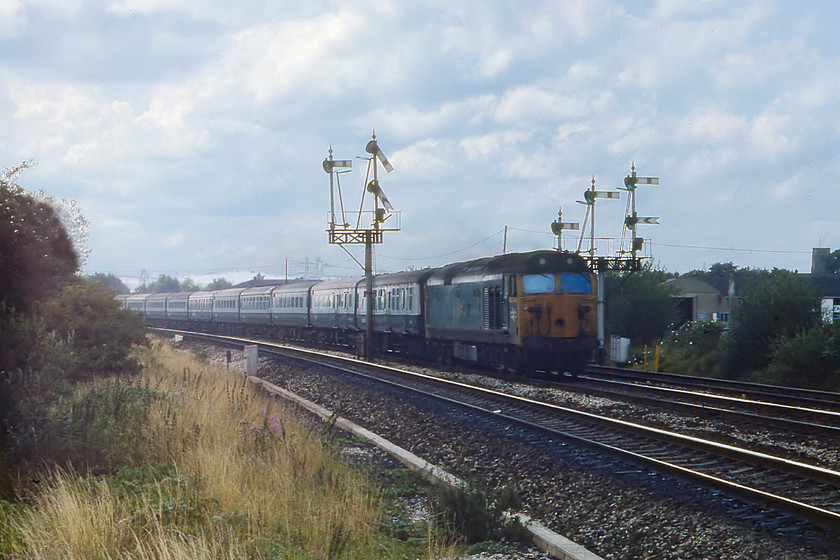 50022, 11.25 Newquay London-Paddington, Silk Mill junction 
 Technically, not a very good photograph taken into the light, 50022 'Anson' brings, what I believe to be, the (Fo) 11.25 Newquay to London Paddington past Silk Mills' impressive up home bracket signals. 
 Keywords: 50022 11.25 Newquay London-Paddington Silk Mill junction