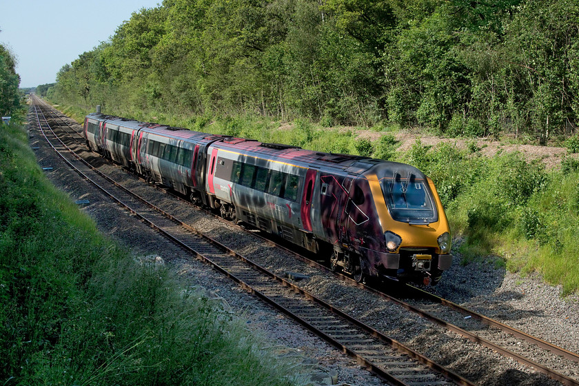 220011, XC 09.00 Glasgow Central-Penzance (1V58, 19L), Croome Perry Wood SO900459 
 220011 passes Croome Perry Wood, located a short distance south of Abbotswood Junction, working the 09.00 Glasgow Central to Penzance. I like the dappled effect of the trees on the side of the Voyager as it passes through the wood but it did need a little Photoshop-fettling with the original image being too contrasty. I still need some persuading that a four-car DMU is adequate for such a service, let's hope that the call to introduce some of the former GW HSTs to ease the problem of overcrowding come to fruition. 
 Keywords: 220011 09.00 Glasgow Central-Penzance 1V58 Croome Perry Wood SO900459