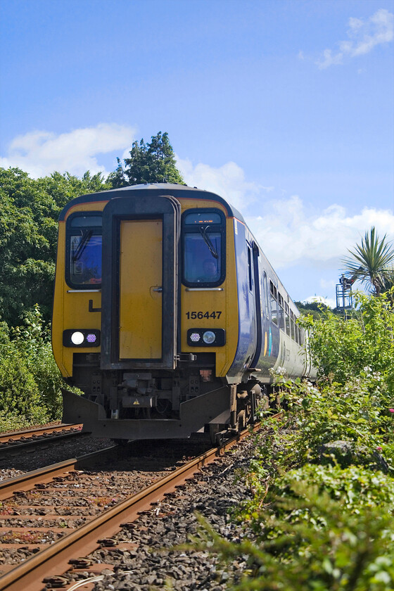 156447, NT 10.14 Lancaster-Carlisle (2C51, 6L), Grange-over-Sands sea wall 
 A rushed photograph that did not quite work as planned! I had intended that the Grange-over-Sands down starter signal should have been in full view above the train. However, as can be seen, the palm to the extreme had other ideas blocking out the semaphore. 156447 has just left Grange station working the 10.14 Lancaster to Carlisle service and is accelerating along the sea wall before passing Kents Bank station and then turning north and slightly inland. 
 Keywords: 156447 10.14 Lancaster-Carlisle 2C51 Grange-over-Sands sea wall Northern