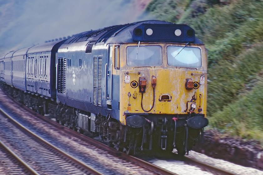 50011, 13.48 Plymouth-London Paddington (1A03), Sprey Point 
 I am not at all sure, over the annals of time, if I had planned to take this photograph as it is here or if it was a failure to cock the shutter on the Zenith camera? Either way, a dramatic action picture of 50011 leading the 1A03 13.48 Plymouth to London Paddington has resulted. The previous evening, it was seen on another up train leaving Exeter, so it will have worked a balancing down working in between. 50011 is still unnamed at this stage of its life; this taking place some six weeks after this picture was taken. 
 Keywords: 50011 13.48 Plymouth-London Paddington 1A03 Sprey Point