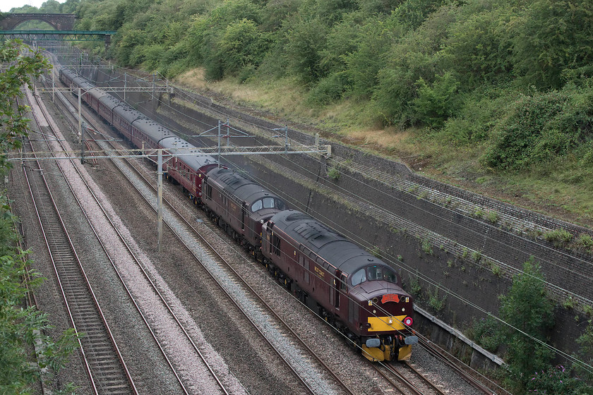 37706 & 37518, outward leg of The Cosham Completer, 05.30 Crewe-Portsmouth Harbour (1Z74), Roade Cutting 
 I have said it before and I make no apologies for repeating it, but the drab West Coast Railway livery does nothing for their locomotives and stock. In poor lighting, such as here in the depths of Roade cutting, it looks even worse. 37706 and 37518 lead the outward leg of the oddly named Cosham Completer railtour. The train left Crewe at 05.30 ending up at Portsmouth Harbour. It was a real surprise that it made it to its destination, and close to its booked time, as there was disruption throughout southern England due to extremely strong winds that brought a lot of trees down closing some lines. The second loco. in the consist, 37518, I took a photograph of when it was numbered 37018 and working to for British Rail back in 1980, see..... https://www.ontheupfast.com/p/21936chg/29682578004/x36-37-018-tanker-train-east-holmes 
 Keywords: 37706 37518 The Cosham Completer 05.30 Crewe-Portsmouth Harbour 1Z74 Roade Cutting