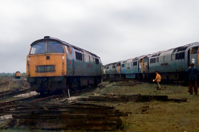 D1071 & Class 52s, scrap-line, Swindon Works 
 My friend Simon (in the yellow jacket) strides amongst the scrap-lines at Swindon Works, notebook in hand. In the foreground, D1071 'Western Renown' stands awaiting the attention of the cutter. The last time I saw this engine was almost exactly a year earlier in happier times passing through Bath Spa, see.... https://www.ontheupfast.com/v/photos/21936chg/24037708804/d1071-bath-spa-station A line of other Class 52s await their fate in the background. 
 Keywords: Swindon Works scrap lines D1071 Western Renown