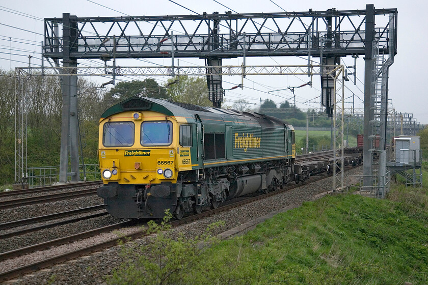 66567, 03.39 Crewe Basford Hall-Thamesport (4088), Roade Hill 
 66567 leads the morning's 03.39 Crewe Basford Hall to Thamesport Freightliner service. The train is seen from a spot, despite appearances, that is the right side of the fence just south of Roade. A ladder or steps is useful to make the shot easier to master but alternatively, the fence can be used to gain a little height. 
 Keywords: 66567 03.39 Crewe Basford Hall-Thamesport 4088 Roade Hill Freightliner