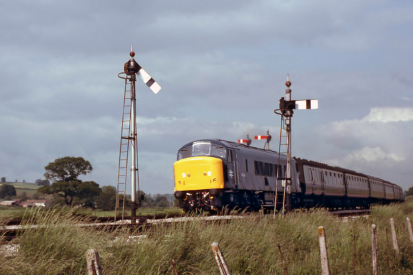 46046, 10.30 York-Newton Abbot Motorail (1V81), Hele & Bradninch (Courtesy of GGV) 
 A little known and photographed Motorail service that operated in the summer months was the 1V81 10.30 (or thereabouts) York to Newton Abbot. In this photograph, kindly donated to me by Graham, the train is seen sweeping around the curve at Hele and Bradninch. Unfortunately, the Motorail flats, that are at the rear of the train, cannot be seen. 46046 looks very smart having been released from Derby works less than a month previously having had its last classified repair and a re-paint. It would stay in service for another four years being one of the last of the class to be withdrawn in May 1984. 
 Keywords: 46046 10.30 York-Newton Abbot Motorail 1V81 Hele & Bradninch Peak Motorail