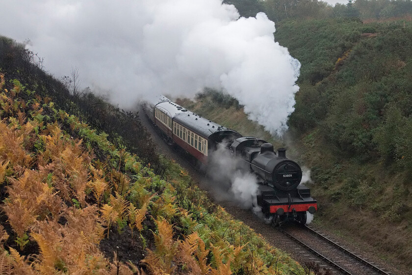 53809, 10.00 Sheringham-Holt, Kelling Heath 
 Filling the cutting with exhaust and steam former Somerset and Dorset 7F works hard on the slippery rails leading the 10.00 Sheringham to Holt service on 20th October 2022. Approaching its hundredth birthday in 2025 the locomotive is a stalwart on the North Norfolk Railway regularly hauling trains throughout the seasons. Notice the burnt embankment of the cutting that is already beginning to recover following a fire due, in no small part, to the long, hot and dry summer that had just passed. 
 Keywords: 53809 10.00 Sheringham-Holt, Kelling Heath S&DJR 7F 2-8-0