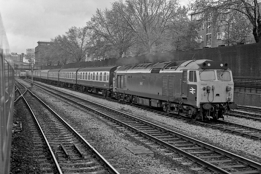 50044, ECS & 50009, LE, Westbourne Park 
 Taken from the 05.53 Plymouth to Paddington HST, being worked by set 253008, as it passes two Class 50s on the approach to Paddington at the end of our journey from Westbury to London. Leading a set of empty Mk. 1s 50044 'Exeter' is probably waiting to cross over and head back to Old Oak Common with the stock having been used on a morning commuter service probably from Oxford. In the distance is 50009 'Conquerer' is also waiting to make its way back to the depot with a driver and second man sitting in the cab facing the camera. Westbourne Park Villas road is behind the substantial wall to the right with the block visible through the trees still exactly the same today even down to the stairwell windows! 
 Keywords: 50046 Ajax 50009 Conquerer Westbourne Park Empty coaching stock light engine HST