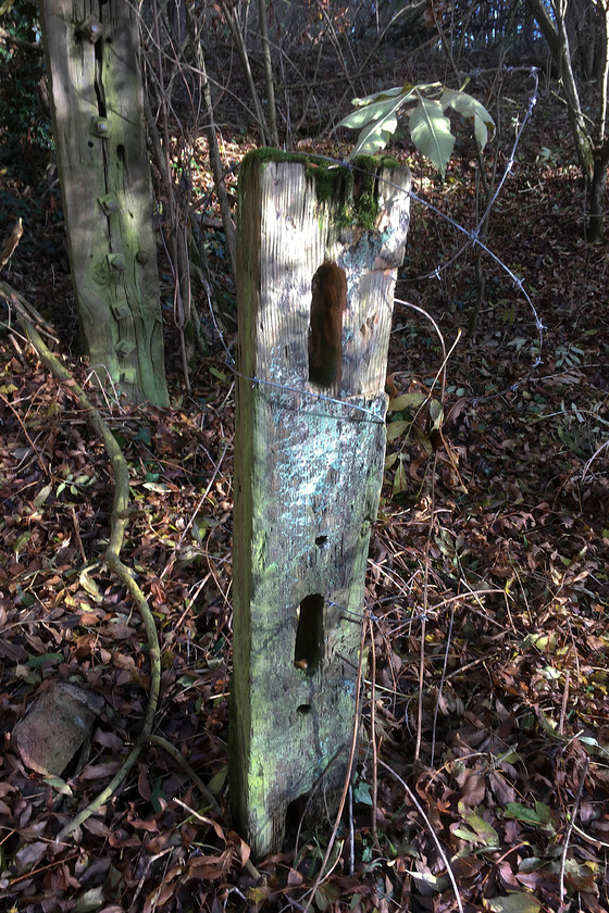 Former SMJ boundary fence, Stoke Bruerne SP738505 
 A fence post stands in the dappled autumn sun just near to the village of Stoke Bruerne. The fence was the former boundary of the SMJ railway that closed in 1965. The company must have used good quality and well preserved timber as both these posts were still firmly placed in the ground and showing now signs of terminal rotting. 
 Keywords: Former SMJ boundary fence Stoke Bruerne SP738505