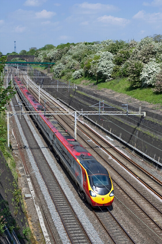 Class 390, VT 10.35 Manchester Piccadilly-London Euston (1A12), Roade cutting 
 An unidentified Virgin Pendolino passes through Roade cutting working the 1A12 10.35 Manchester to Euston service. With it being spring the hawthorns (Crataegus) are in full flower above the cutting with their tiny white flowers adding a splash of white to the greenery. 
 Keywords: Class 390 10.35 Manchester Piccadilly-London Euston 1A12 Roade cutting Virgin West Coast Pendolino