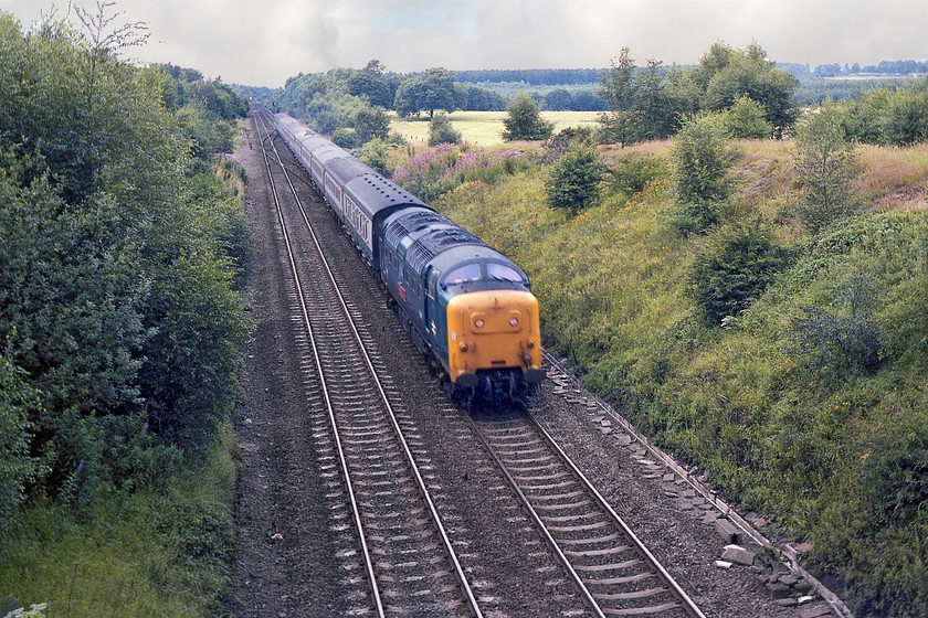 55019, 10.40 Aberdeen-Kings Cross, The Aberdonian (1E14), Bawtry SK649949 
 The last picture for the day before we drove north of Doncaster to Haywood in order to set up camp for the night. Pausing at Bawtry, between Retford and Doncaster, we caught 55019 'Royal Highland Fusilier' heading south with the 1E14 10.40 Aberdeen to King's Cross, the up 'Aberdonian'. This view is taken from the overbridge that carries the A638 road. 
 Keywords: 55019 10.40 Aberdeen-Kings Cross The Aberdonian 1E14 Bawtry SK649949