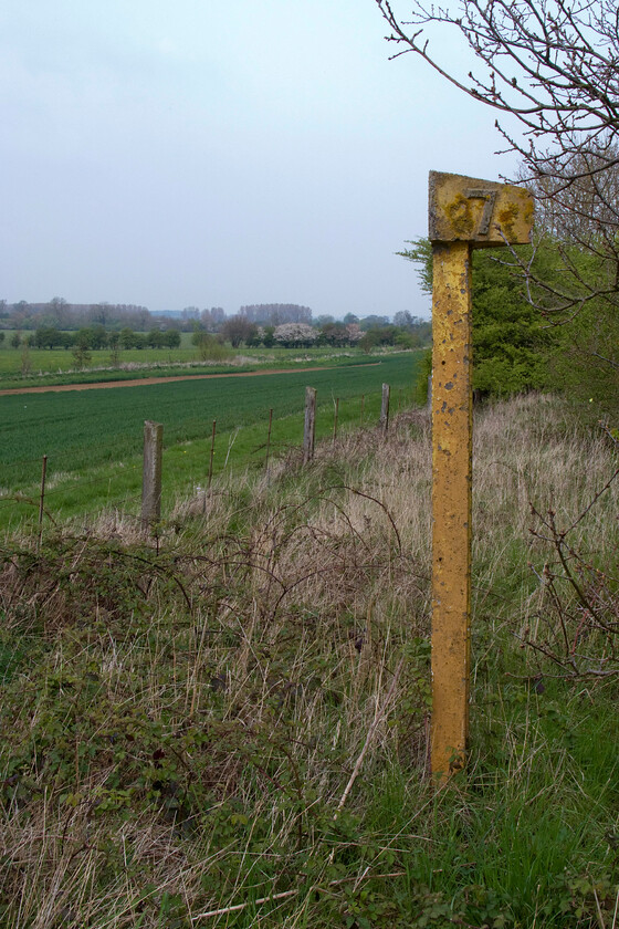 Milepost (7 miles for Northampton), SP734699 
 Riding or walking along the Brampton Way between Northampton and Market Harborough, following the route of the former line that was closed by BR in 1981, reveals quite a lot of former railway assets. With the railway fencing in the background is a milepost emerging from the undergrowth. Counting back reveals that the seven miles are from Northampton but not the station. Seven miles from this post is the location of the former steam shed (4B, closed 25.05.65) in the town's Far Cotton. 
 Keywords: Milepost 7 miles for Northampton SP734699